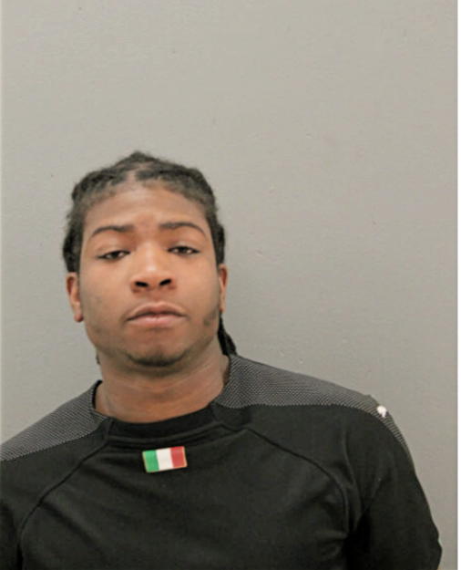 RASHI L GANT, Cook County, Illinois