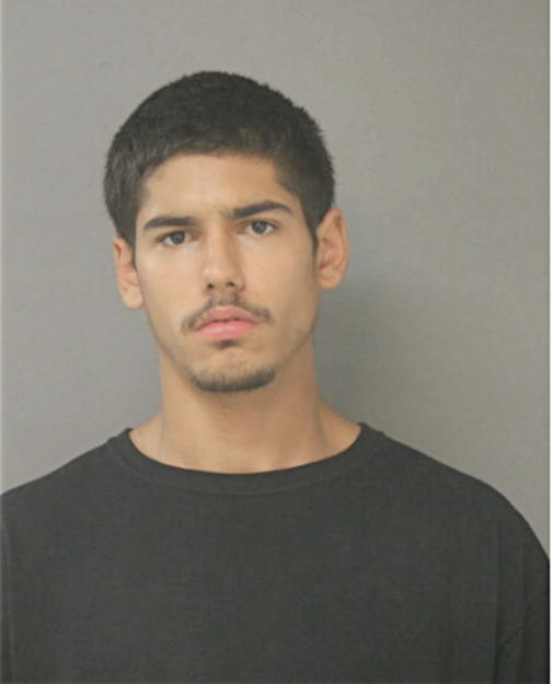 LUIS J GARCIA, Cook County, Illinois