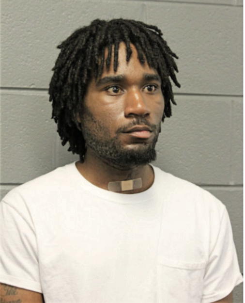 BRUCE C GREENE, Cook County, Illinois