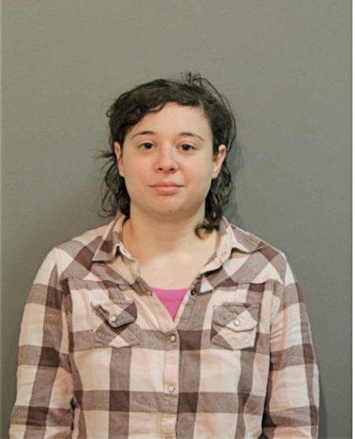 JOY M HOLOWICKI, Cook County, Illinois