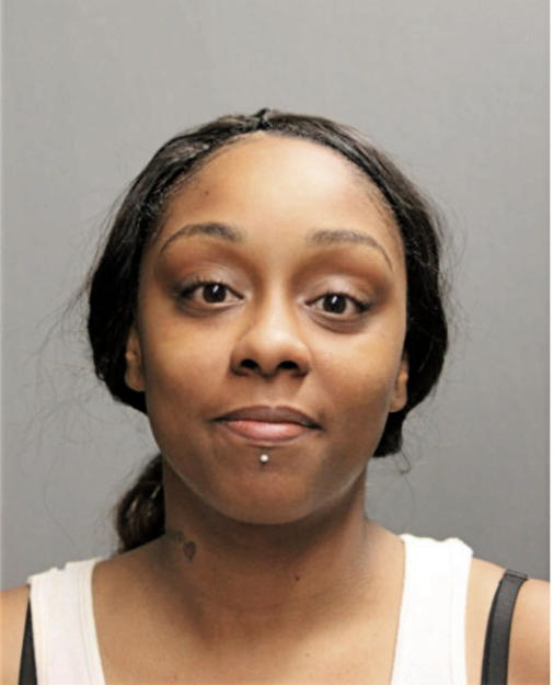 DIANA C HUDSON, Cook County, Illinois