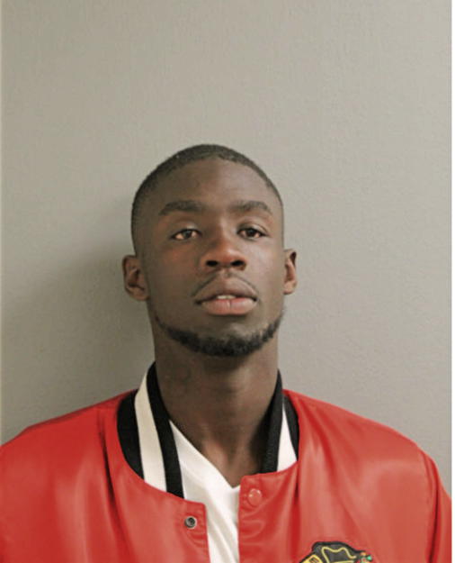 JAMIE D LAMBERT, Cook County, Illinois