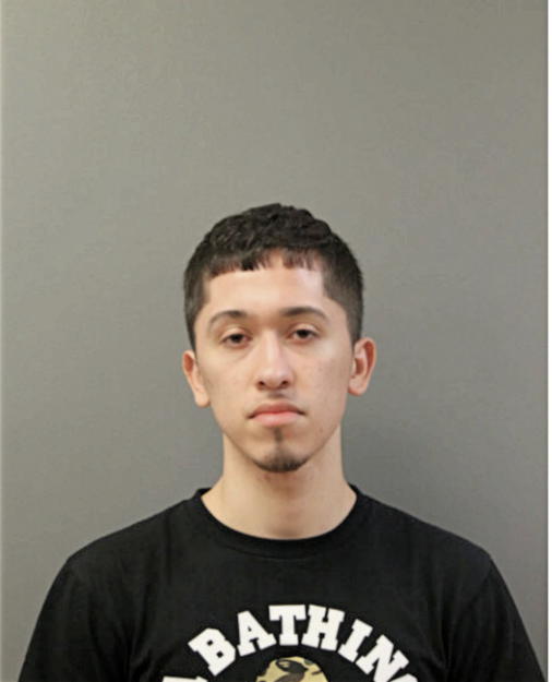 JULIO CESAR LANDA, Cook County, Illinois