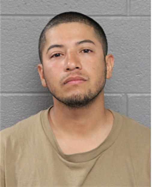 FERNANDO LARA, Cook County, Illinois
