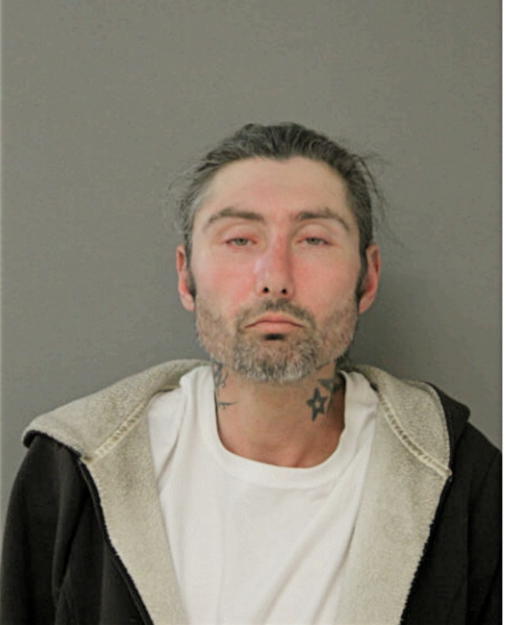 MATTHEW L LEWITZ, Cook County, Illinois