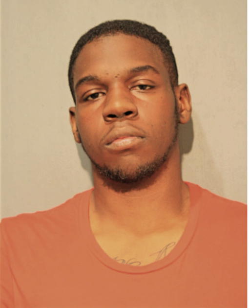 DREW L MARTIN, Cook County, Illinois