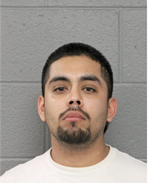 JULIO A PLASCENCIA, Cook County, Illinois