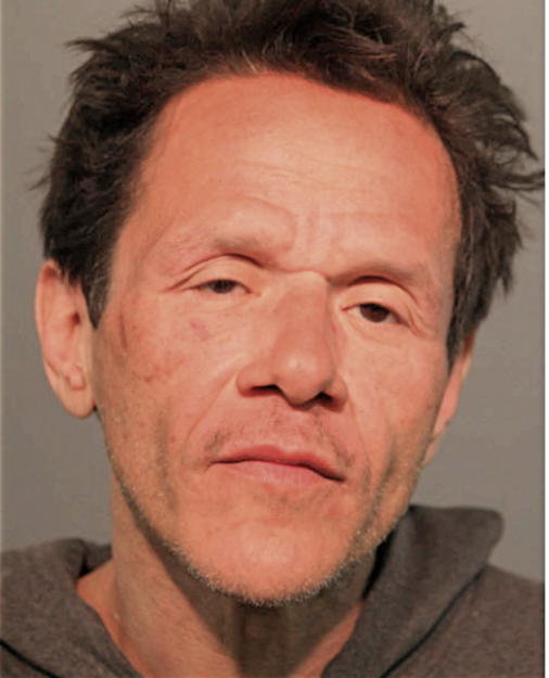 LUIS E RAMIREZ, Cook County, Illinois