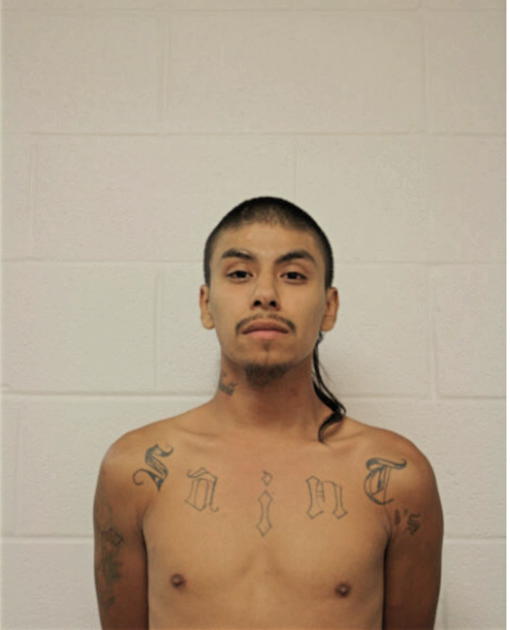 MARTIN R RAMIREZ, Cook County, Illinois