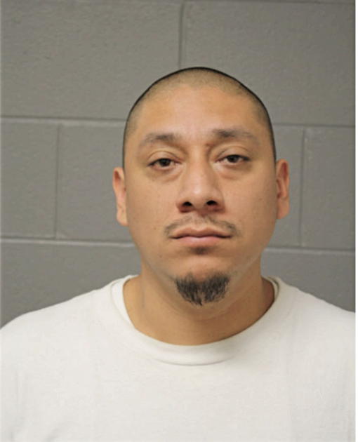 PABLO SALGADO, Cook County, Illinois