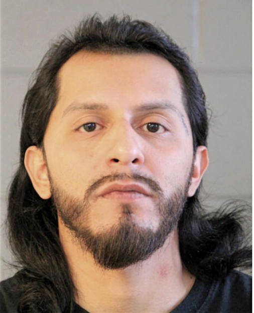 ERIK J SOTO, Cook County, Illinois