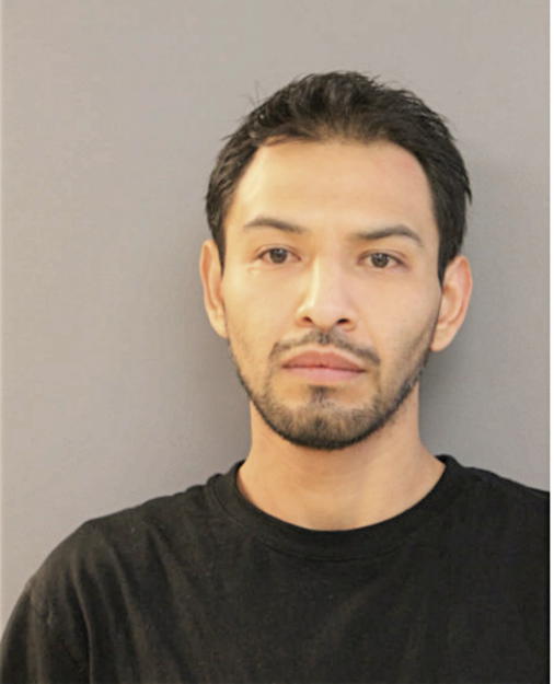 CARLOS UGARTE, Cook County, Illinois