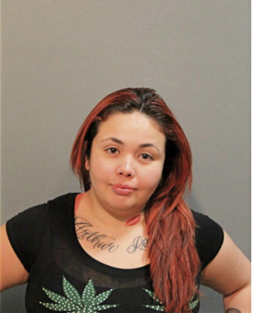 MONICA VIRGEN, Cook County, Illinois