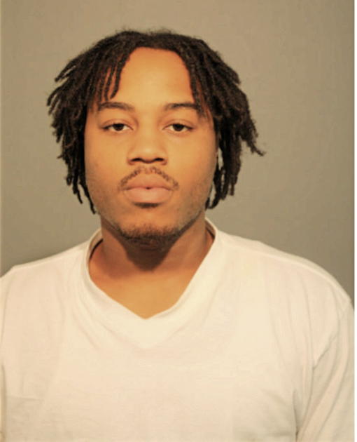SHANNON D WILLIAMS, Cook County, Illinois