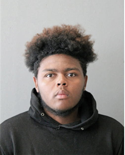 BRIAN T WINDON, Cook County, Illinois
