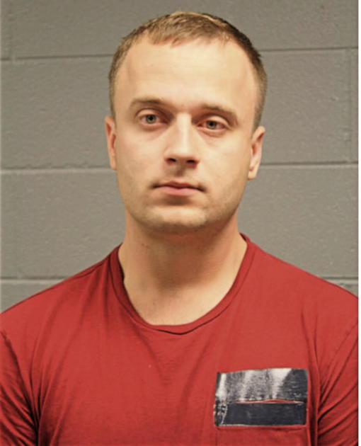 RAMUNAS ZITKEVICIUS, Cook County, Illinois