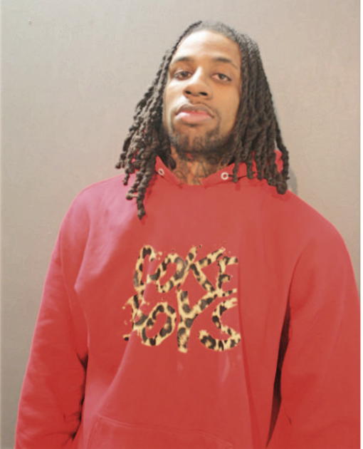 JERMEY J ALLEN, Cook County, Illinois