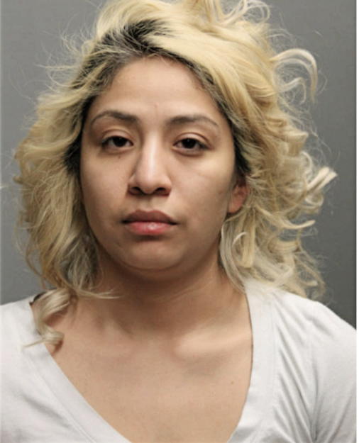 STEFANY N AVILA, Cook County, Illinois