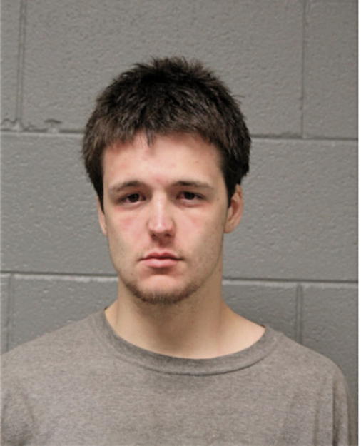 MICHAEL J BRADFORD, Cook County, Illinois