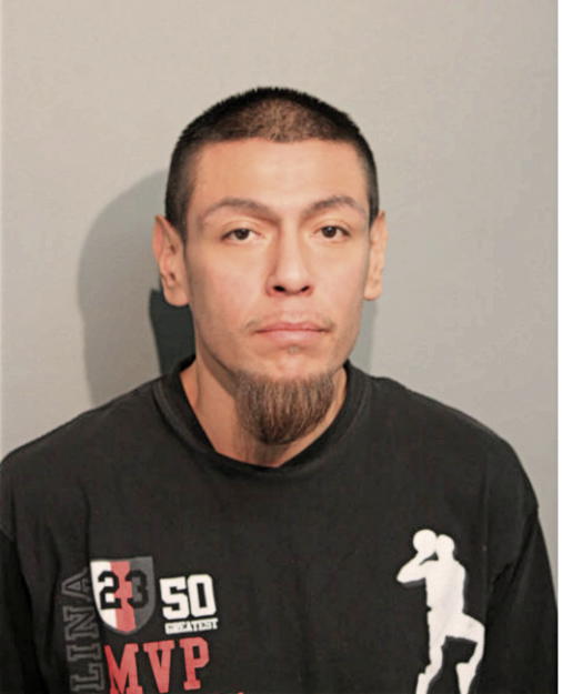 MARIO D CALDERON, Cook County, Illinois