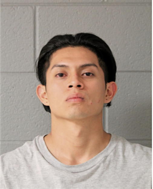 CARMELO-JR. DIEGO, Cook County, Illinois