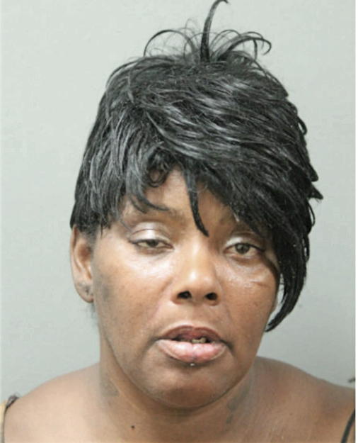 CARRIE L FERGUSON, Cook County, Illinois