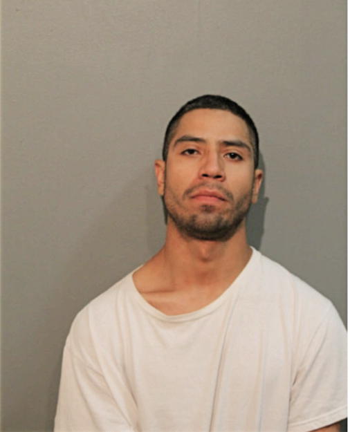 JOHN E GONZALEZ, Cook County, Illinois