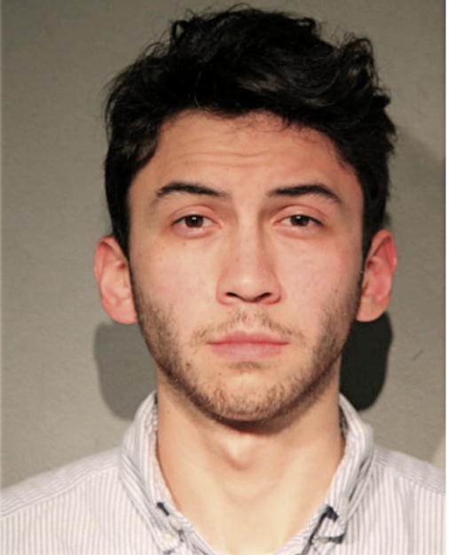 RENE G GONZALEZ, Cook County, Illinois