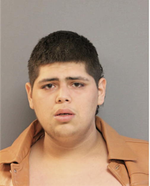 LUIS GUARDADO, Cook County, Illinois