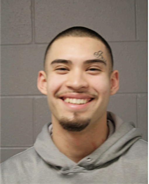 JOSE M GUZMAN, Cook County, Illinois
