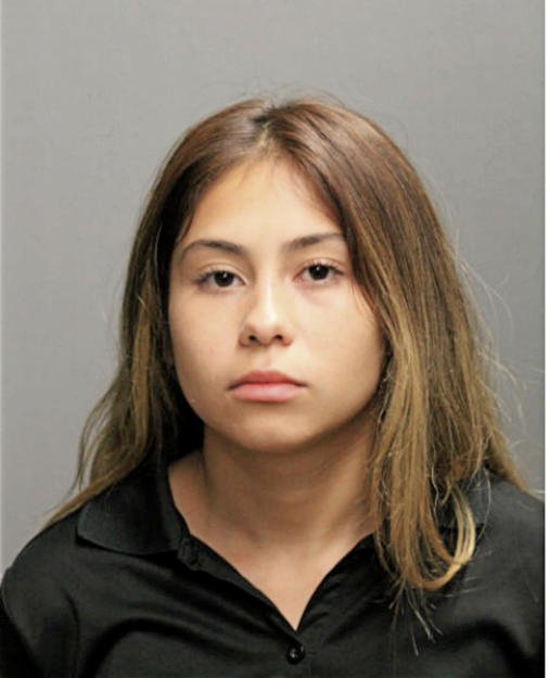 ILLENISE HENRIQUEZ, Cook County, Illinois