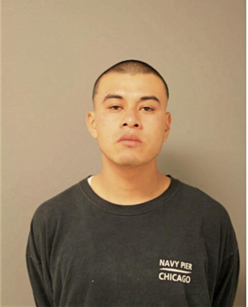CHRISTIAN D HERNANDEZ, Cook County, Illinois