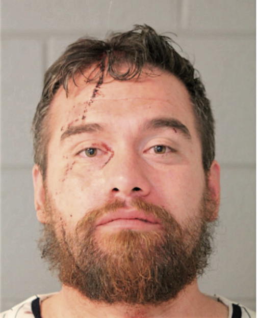 DAVID A HYDE, Cook County, Illinois