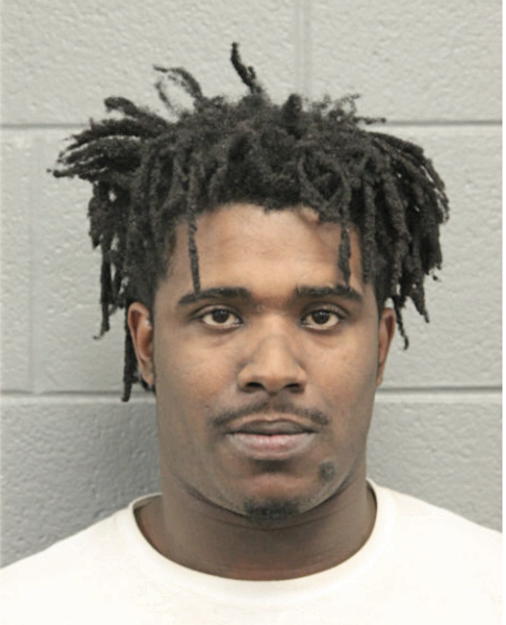 DARNELL L JOHNSON, Cook County, Illinois