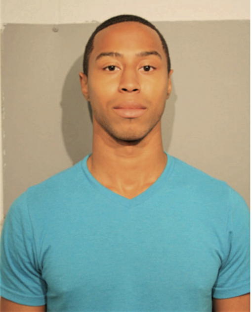 RONALD M JOHNSON, Cook County, Illinois