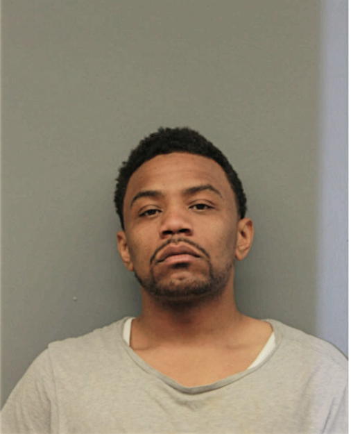 STEPHON J JOHNSON, Cook County, Illinois