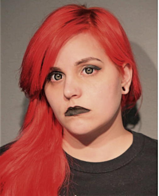 ATHENA L DAVID, Cook County, Illinois