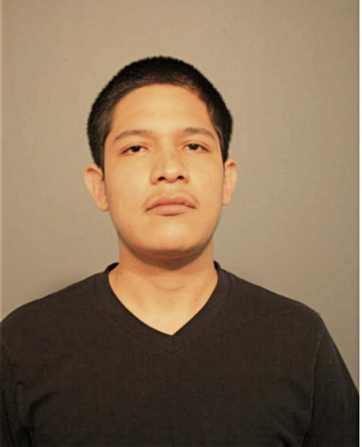 BRYAN MENDOZA, Cook County, Illinois