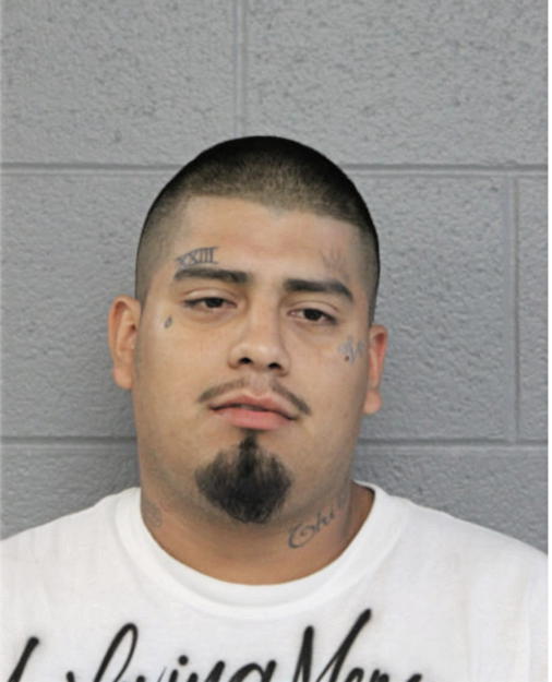 DOMINGO MENDOZA, Cook County, Illinois