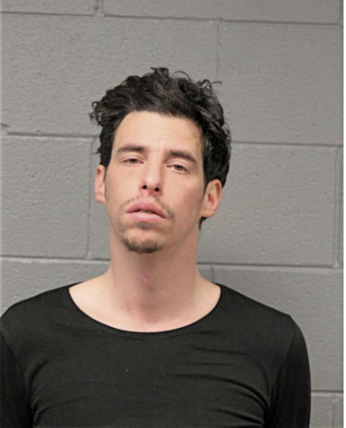 JOSHUA L OWEN, Cook County, Illinois