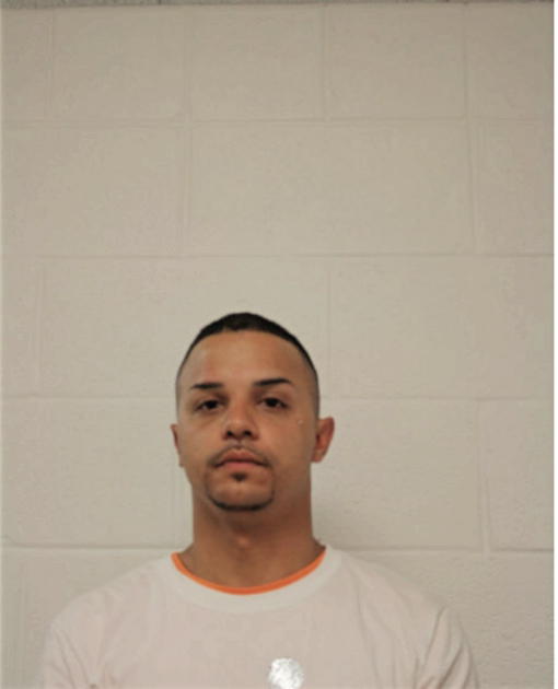 ROBERT C ROLDAN, Cook County, Illinois