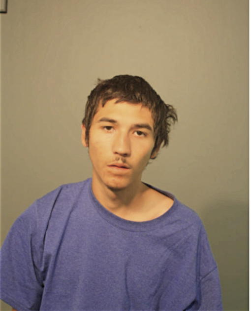 DANNY SANCHEZ, Cook County, Illinois