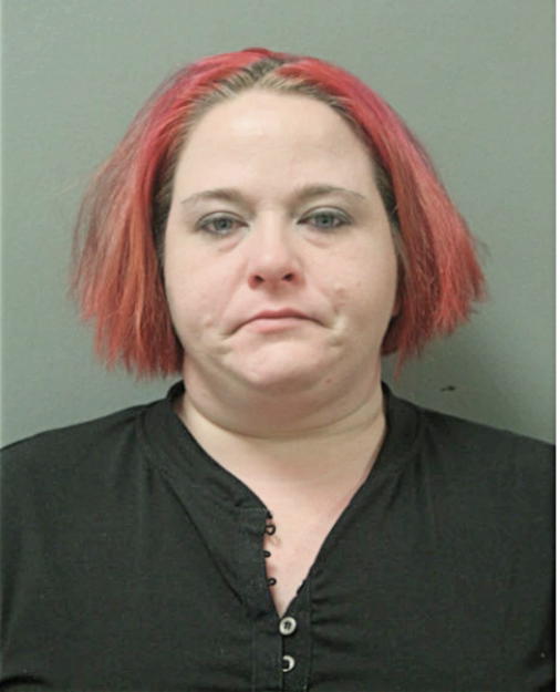 HEATHER L SECHRIST, Cook County, Illinois