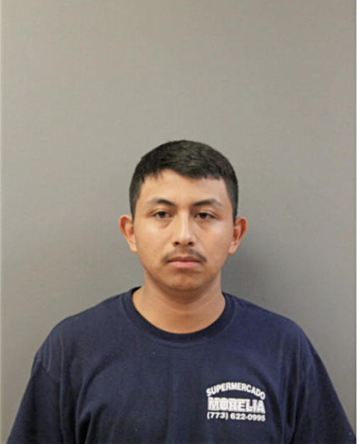 MAURICIO TAPIA, Cook County, Illinois