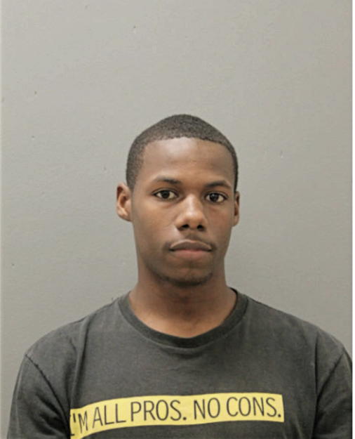 TERRENCE R ANDERSON, Cook County, Illinois