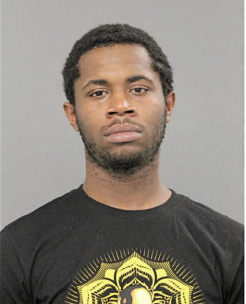 JOHNNIE D EVANS, Cook County, Illinois