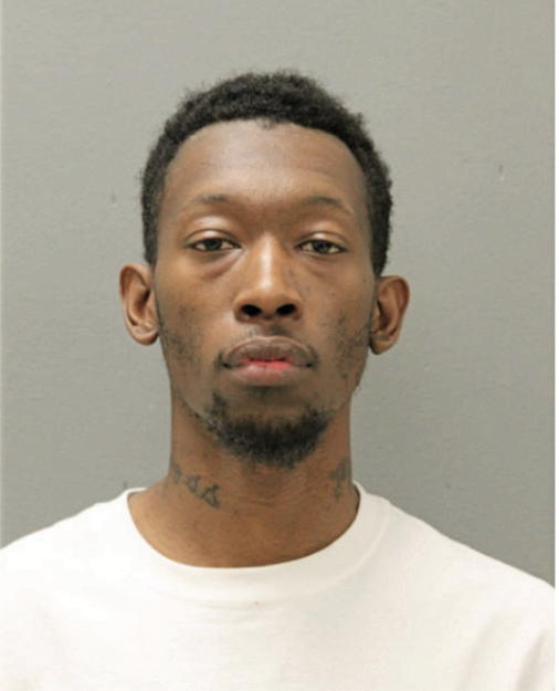MICHAEL FLEMING, Cook County, Illinois