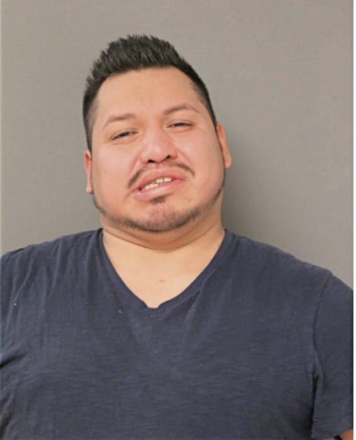 FABIO GONZALEZ-VILCHEZ, Cook County, Illinois