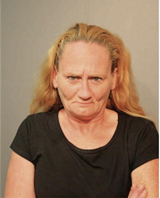 KAREN S JAMESON, Cook County, Illinois