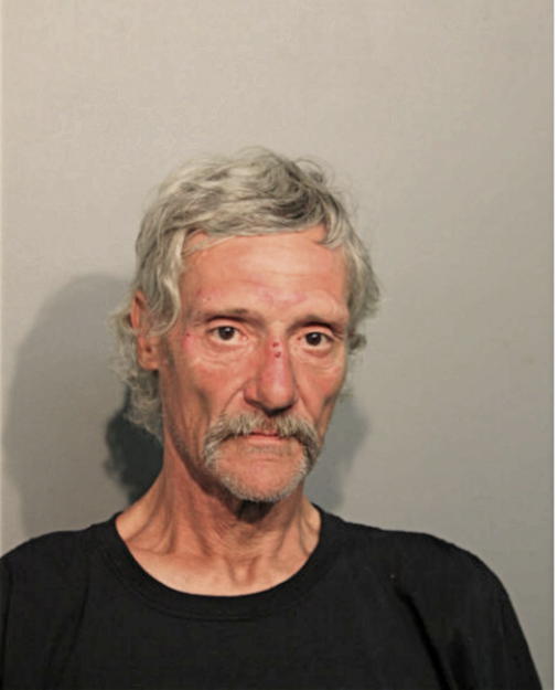 NORMAN A JOHNSON, Cook County, Illinois